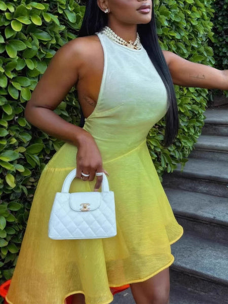 Ombre Sleeveless Dress
