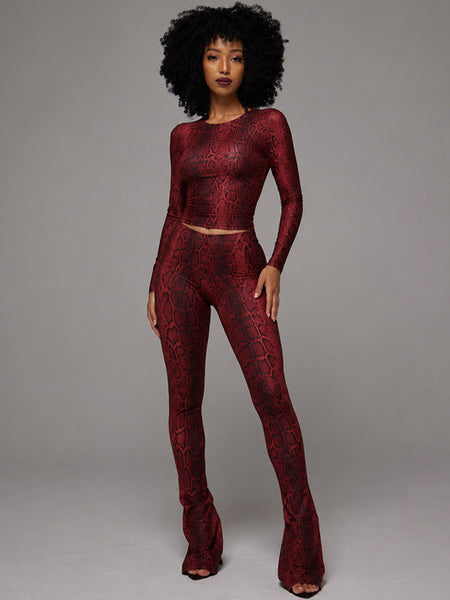 Snake-Print Pants Set