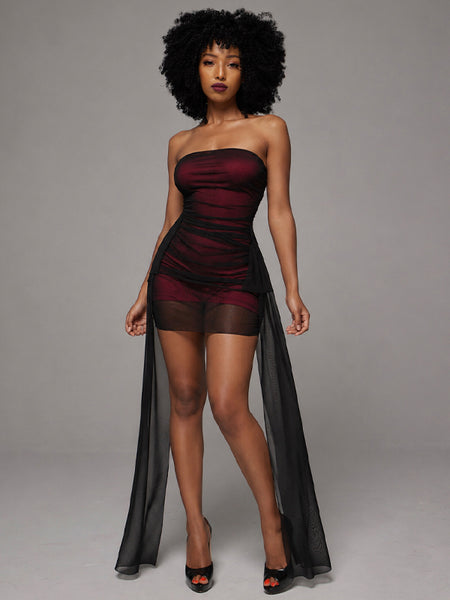 Draped Sheer Tube Dress