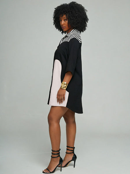 Stripe Combo Contrast Shirt Dress