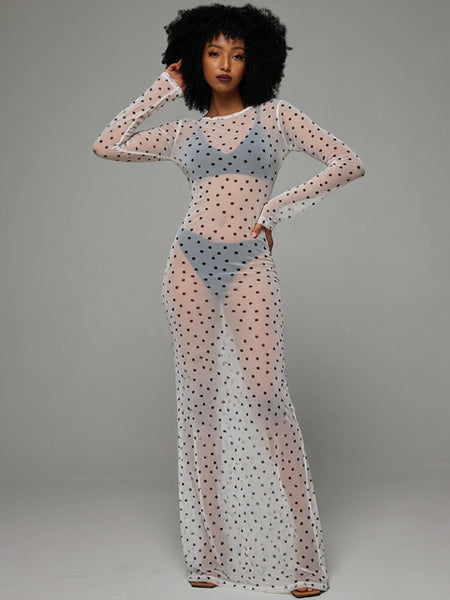 Dot Sheer Maxi Dress