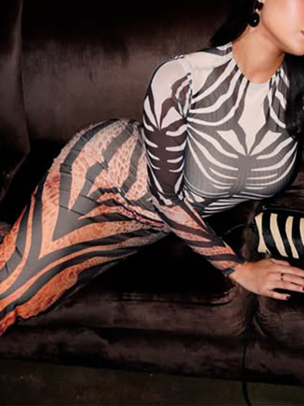 Abstract Animal Print Sheer Mesh Maxi Dress